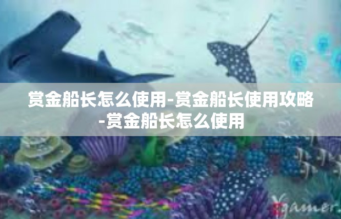 赏金船长怎么使用-赏金船长使用攻略-赏金船长怎么使用
