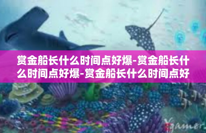 赏金船长什么时间点好爆-赏金船长什么时间点好爆-赏金船长什么时间点好爆