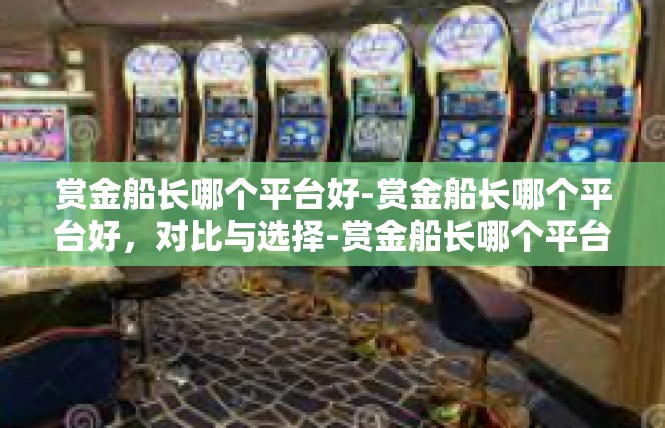 赏金船长哪个平台好-赏金船长哪个平台好，对比与选择-赏金船长哪个平台好