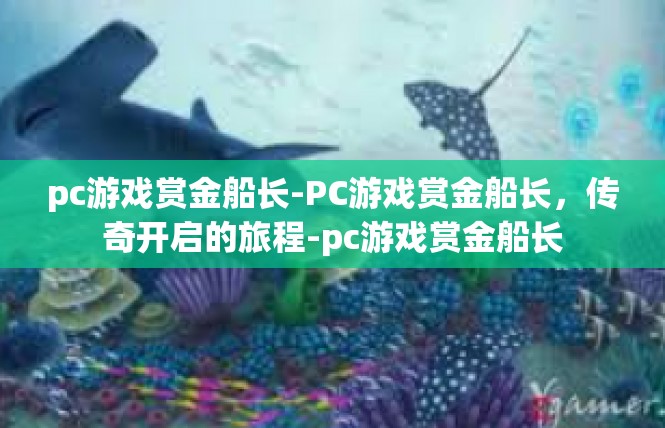 pc游戏赏金船长-PC游戏赏金船长，传奇开启的旅程-pc游戏赏金船长