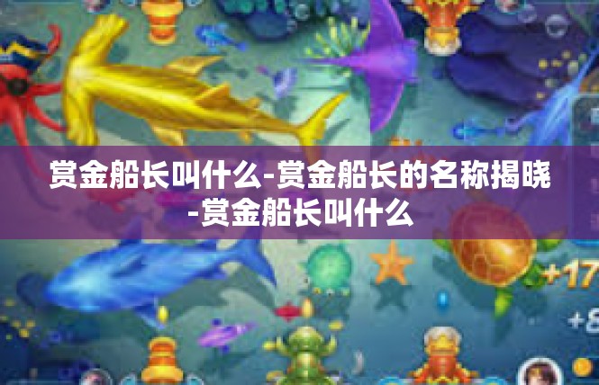 赏金船长叫什么-赏金船长的名称揭晓-赏金船长叫什么