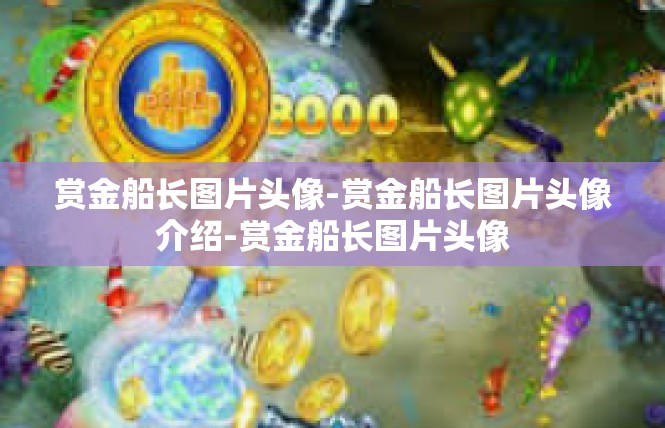 赏金船长图片头像-赏金船长图片头像介绍-赏金船长图片头像
