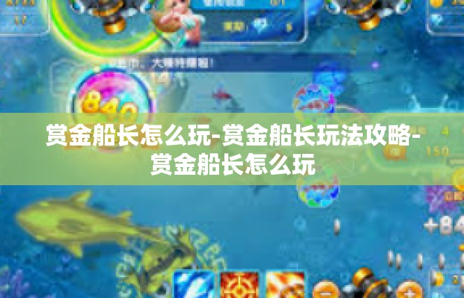 赏金船长怎么玩-赏金船长玩法攻略-赏金船长怎么玩